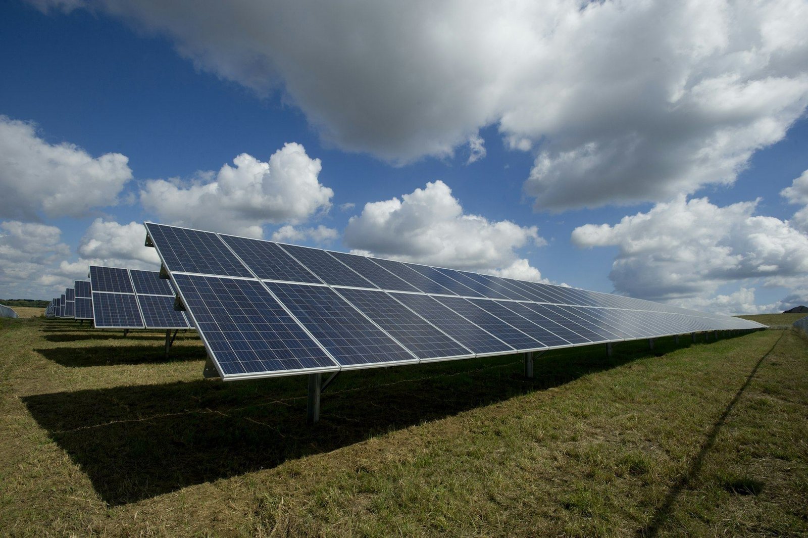 Solar panel farm contributing to a greener future